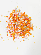 Load image into Gallery viewer, “Farmstead” Sequins Mix
